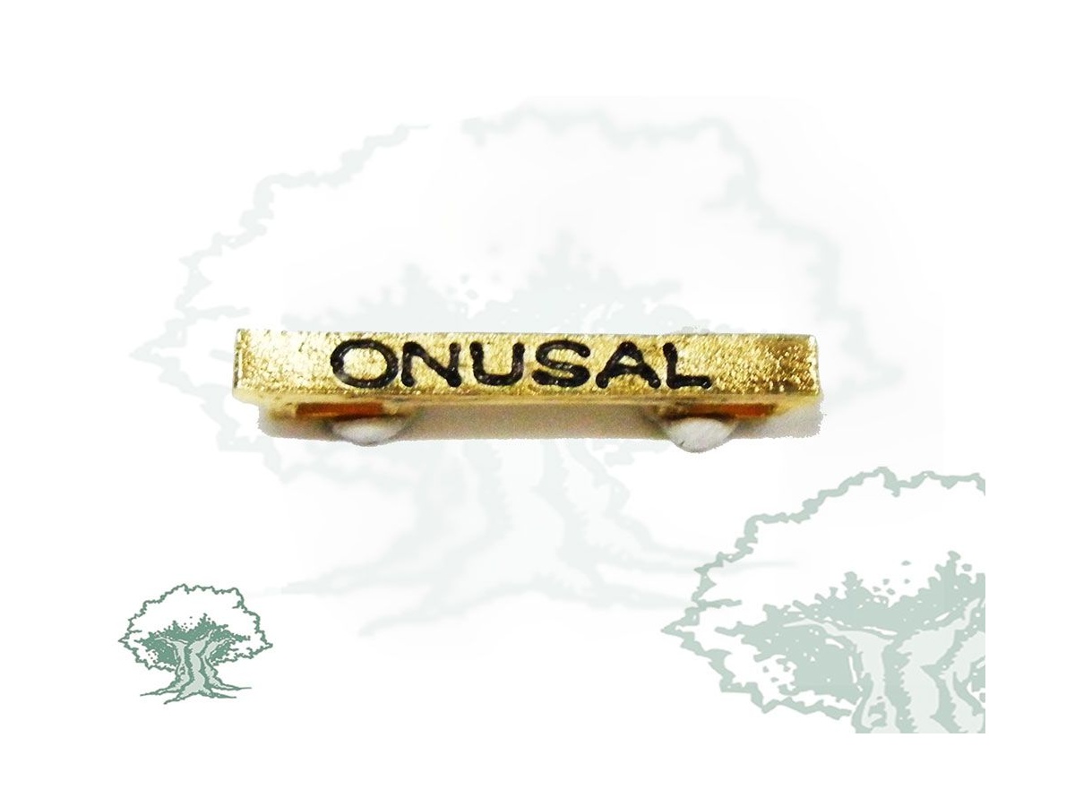 Barra misión Onusal